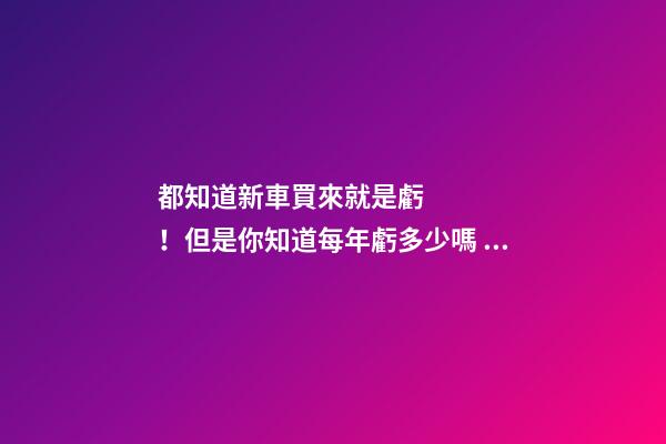 都知道新車買來就是虧！但是你知道每年虧多少嗎？